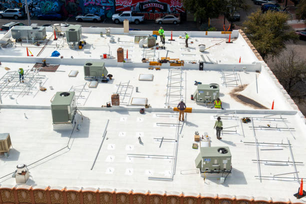 Best Asphalt Shingles Roofing  in Westmont, IL